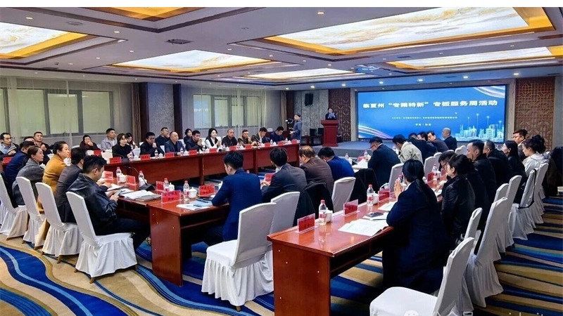 企业动态 | 精准服务赋能企业 资本对接助力发展 ——甘肃股权交易中心举办临夏州“专精特新”专板服务周活动